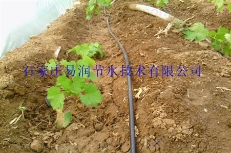 顺义区浇水塑料管对种子萌芽_蔬菜滴灌管的好处