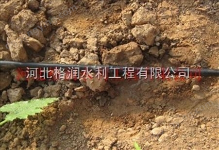 灌溉管批发价格叶县滴灌管技术